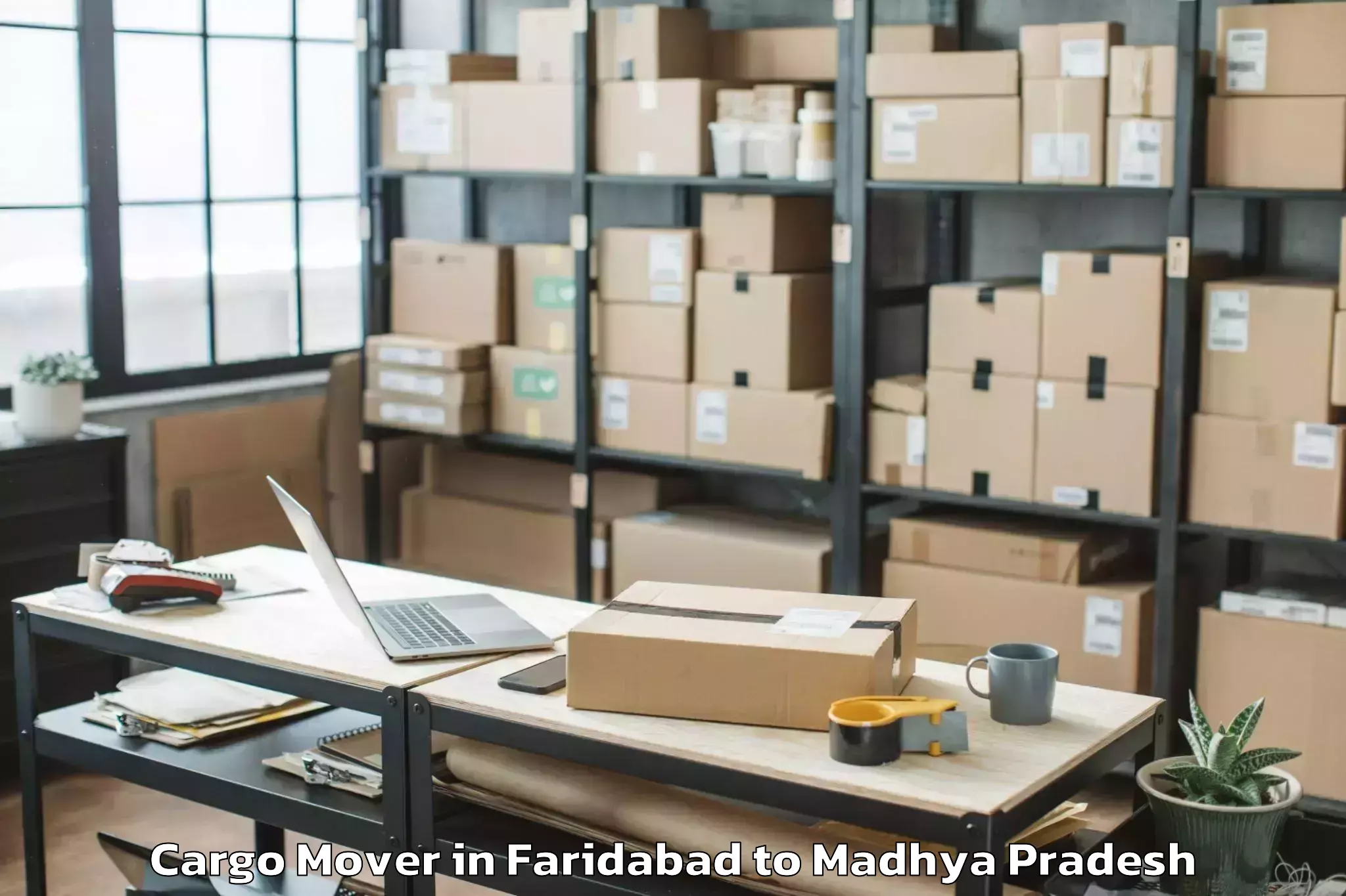 Book Faridabad to Pichhore Cargo Mover Online